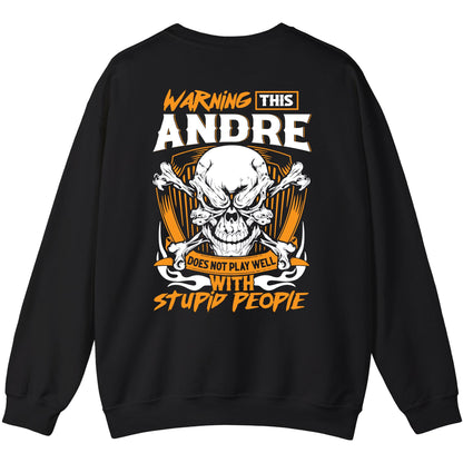 ANDRE - TC01TS003