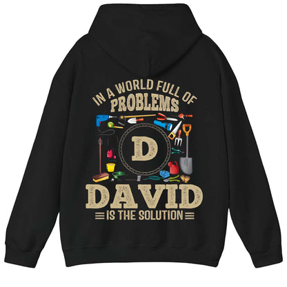 DAVID - TC01TS102